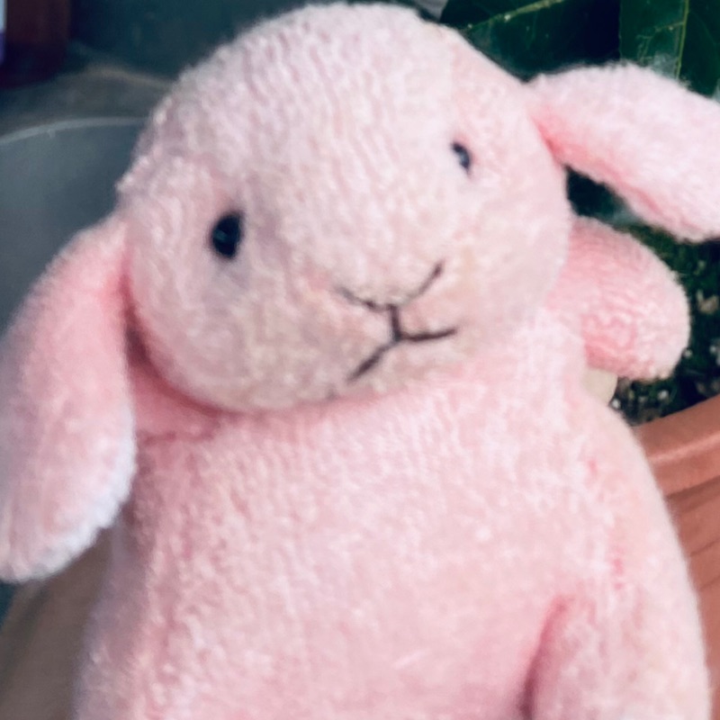 lilo_rabbit, 線上商店 | 蝦皮購物