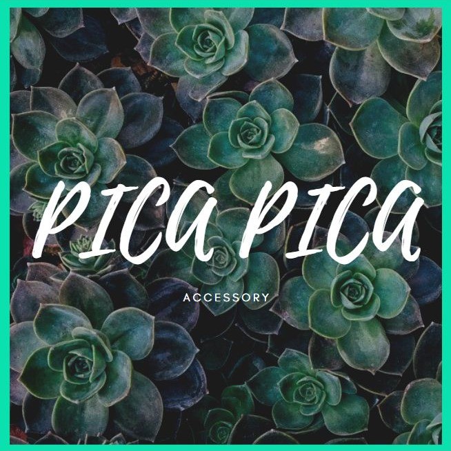 PICA PICA, 線上商店| 蝦皮購物