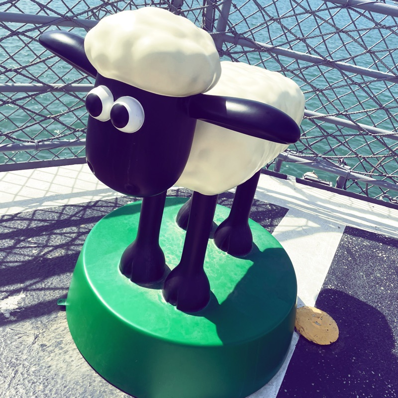 🐏Sheep House🏡, 線上商店 | 蝦皮購物