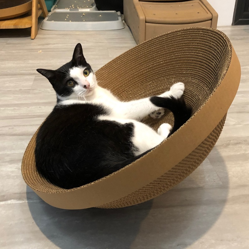 [合購] 蕉來媽貓抓板