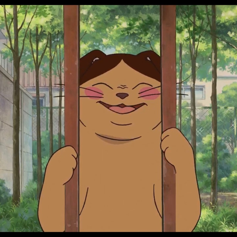 shark_demon, 線上商店 | 蝦皮購物