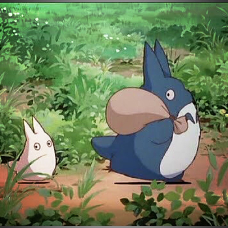 🌺七七小姐, 線上商店 蝦皮購物