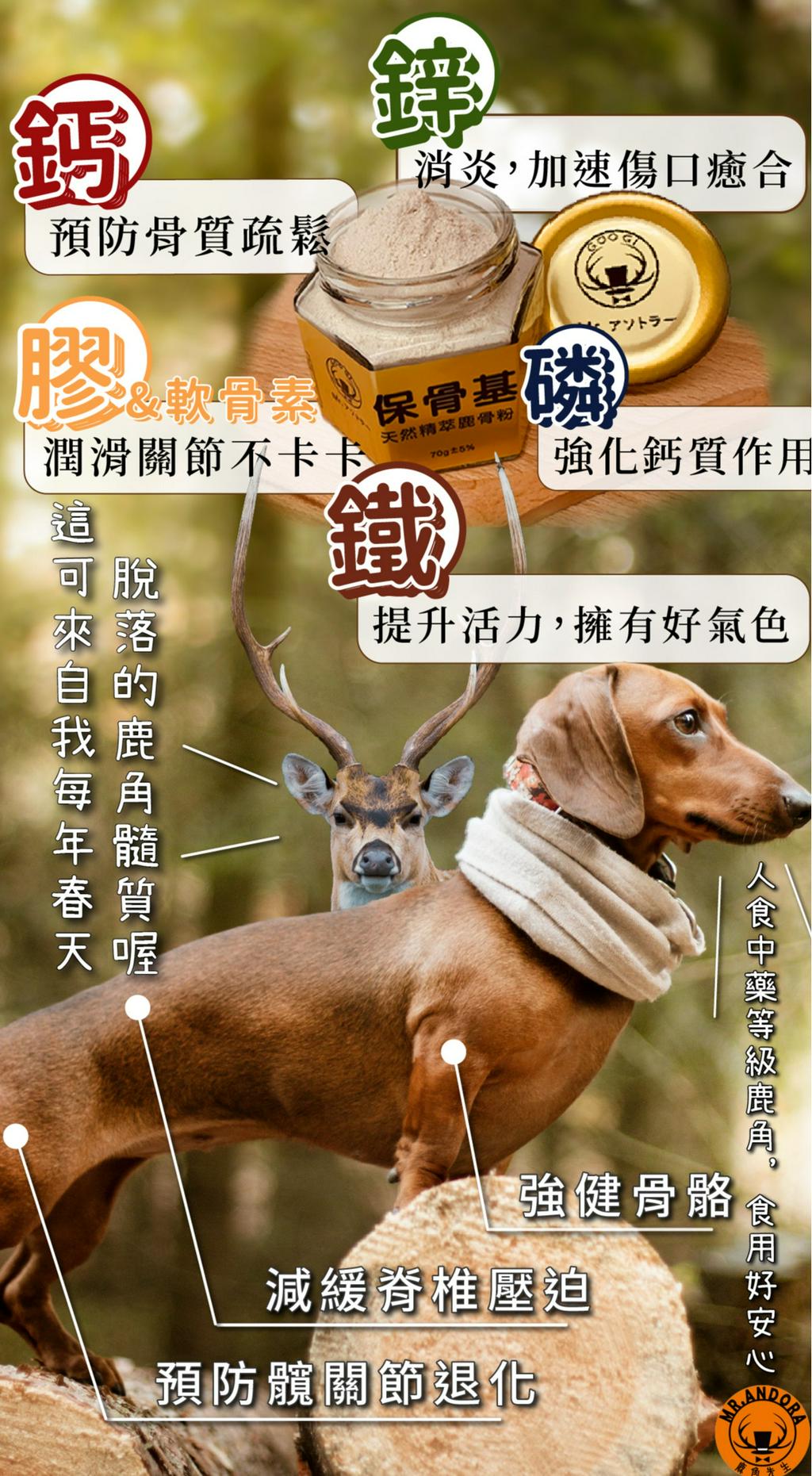天然日本鹿 ニホンジカ 天然 鹿角 鹿の角 ろくじょう 鹿茸 袋角 ③