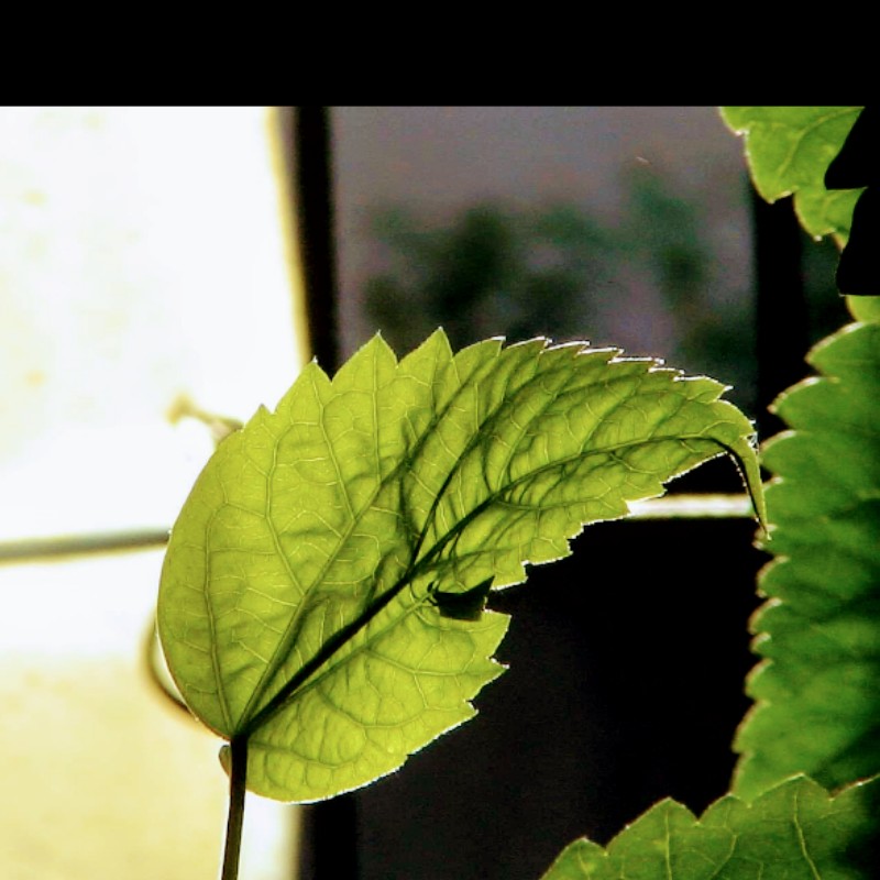 sp1070101, 線上商店 | 蝦皮購物