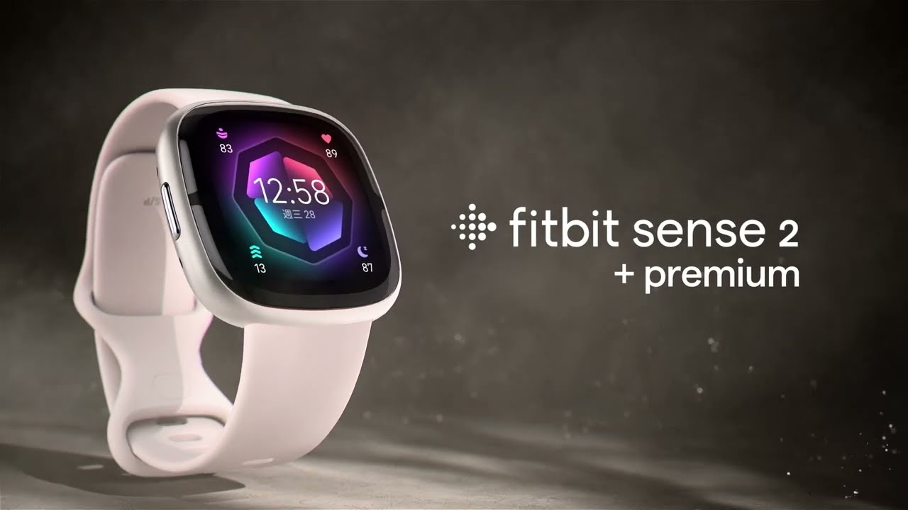 fitbit, 官方旗艦店| 蝦皮購物