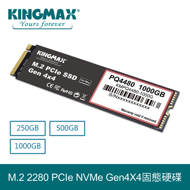 Kingmax ssd on sale