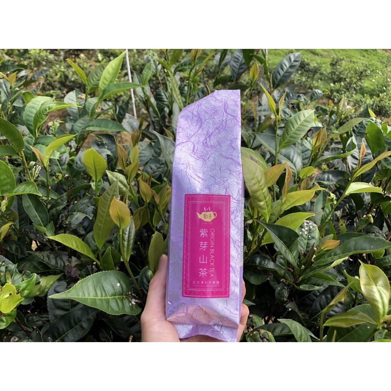 1+1聚茶】台灣原生種紫芽山茶100%日月潭紅茶,在地小農自產自銷,SGS認證