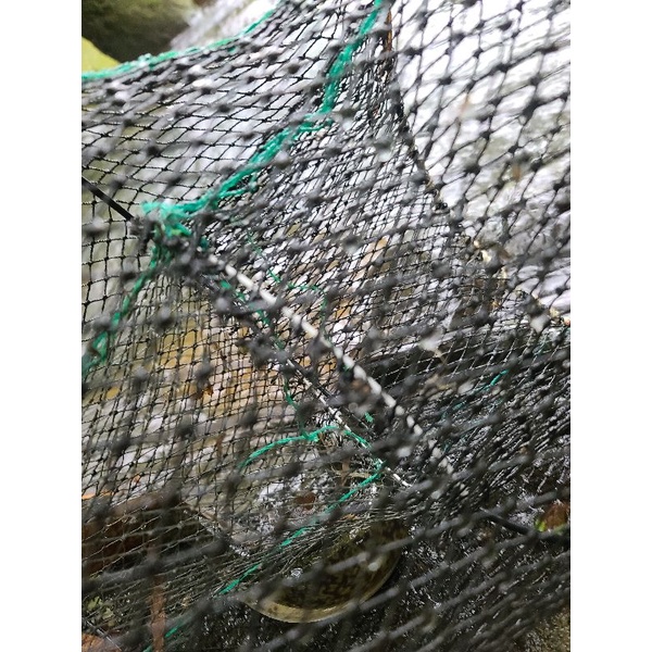 Butterfly Netting Soft Mesh