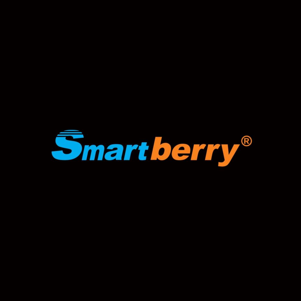 smartberryofficialvp.tw, 線上商店 | 蝦皮購物