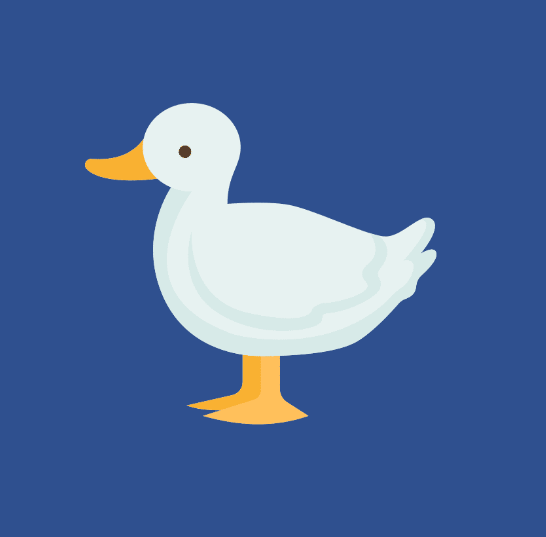 pc_duck, 線上商店 | 蝦皮購物
