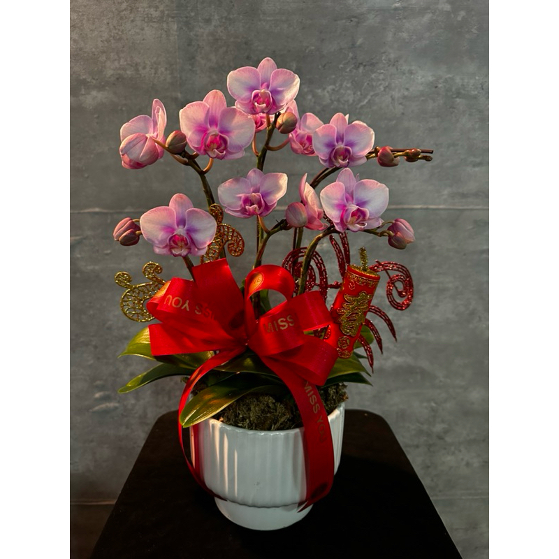 小花的花Orchid Time, 線上商店| 蝦皮購物