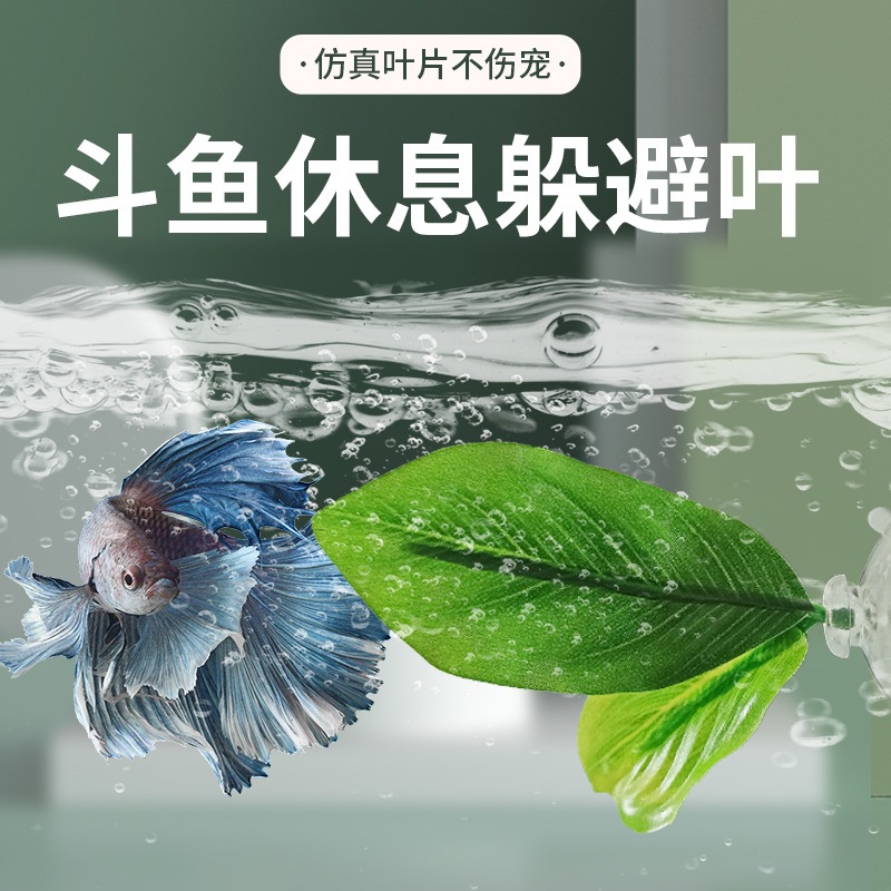 M。。。青島水族。。。E-0013台灣飛魚-多層式滴流過濾槽(含馬達