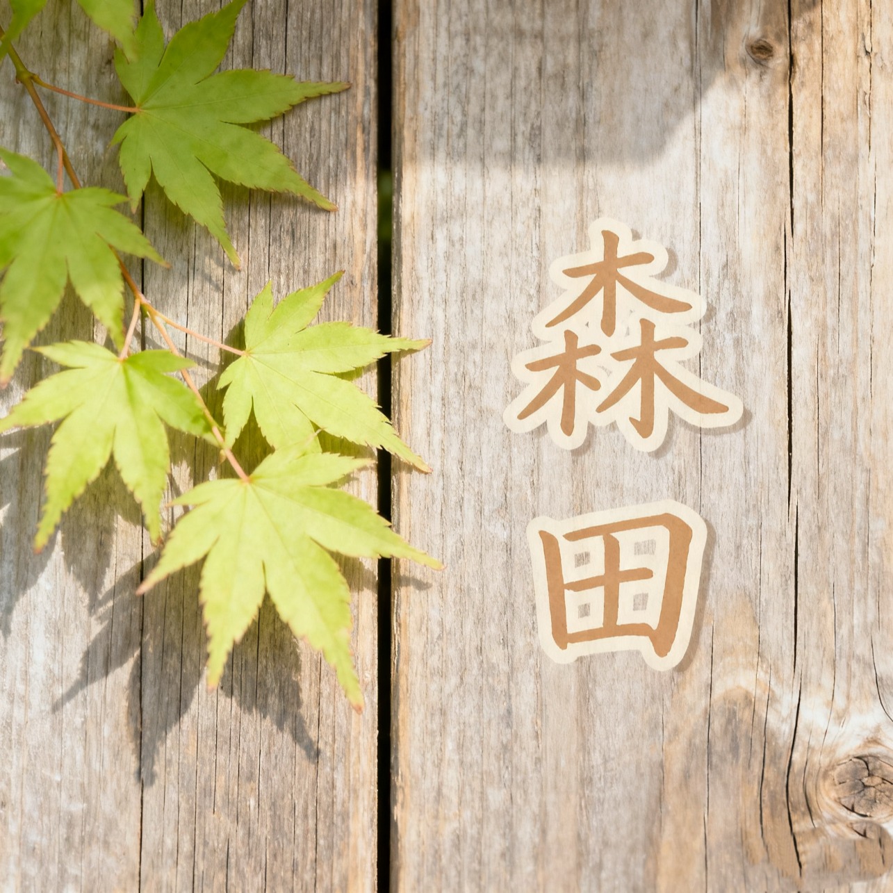 森田百貨鋪, 線上商店 | 蝦皮購物